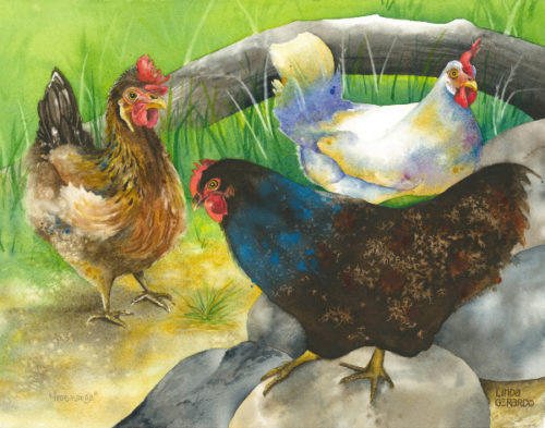free range: image size 11″x14″