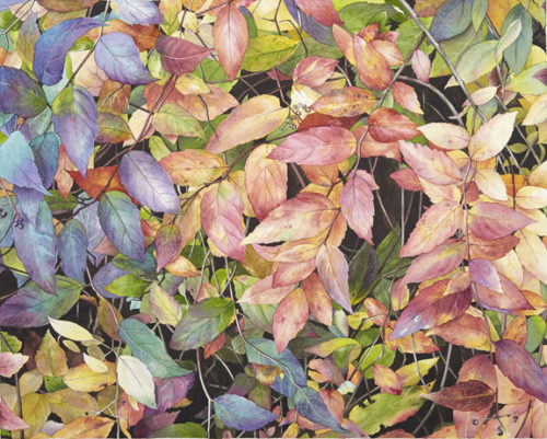 autumn's eye candy