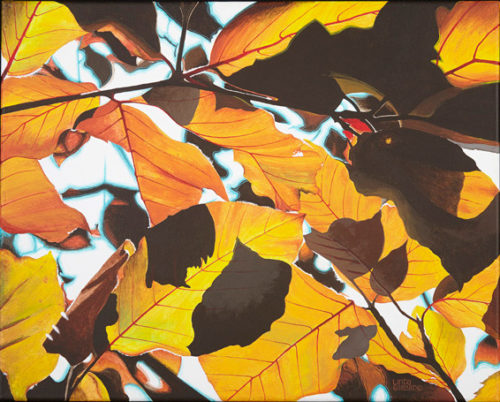 contrasted view: 14"x11" paper print