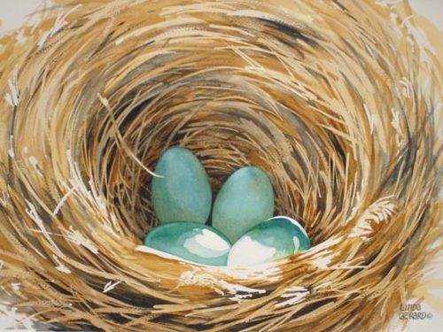 robin's nest: image size 11"x8" (print with white border fits in 14"x11" frame)