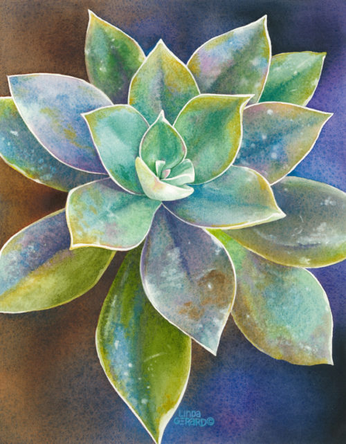 succulent #2: image size 9.5"x12" (print with white border fits 11"x14" frame)