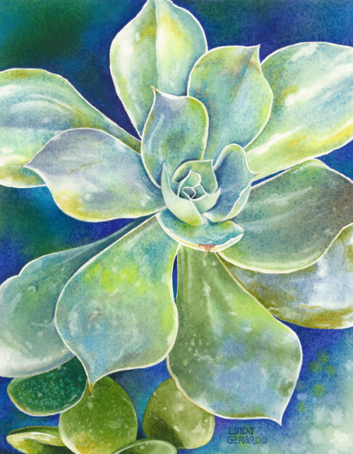 succulent #3